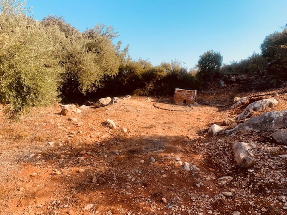Helårsgrund i Comares, Malaga - foto 1